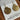 gold shells
